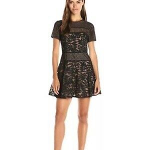 BCBG Black Eleanor Lace Blocked Cotton Blend A-line Dress Size 4. Newer worn.